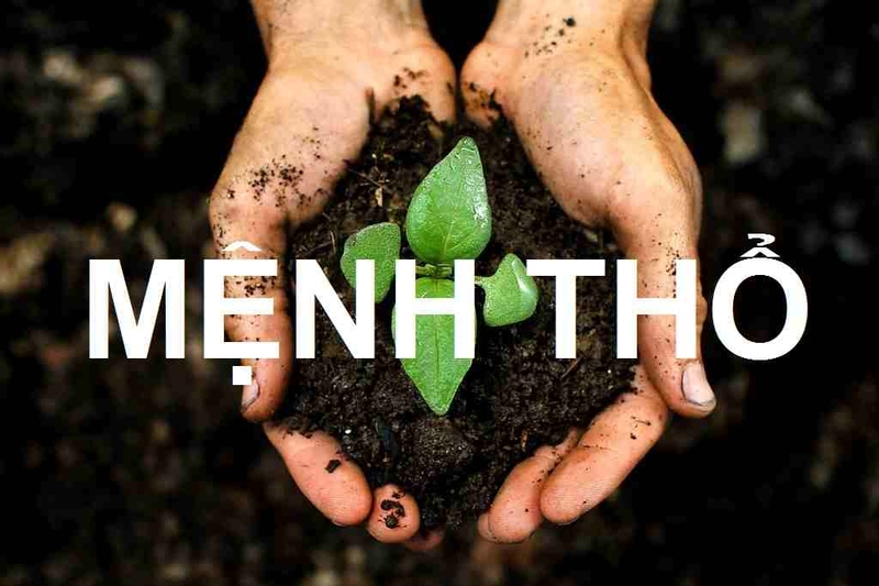 Vận mệnh năm 1991 thế nào? Khám phá những đặc điểm, tính cách nổi bật của người sinh năm Tân Mùi
