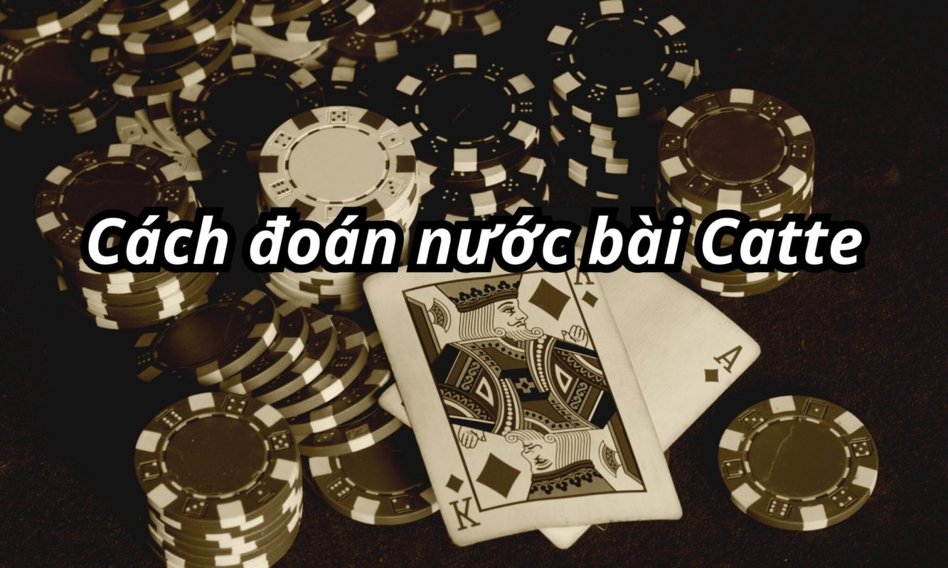 Những điều bạn cần biết về hướng dẫn chơi bài đoán mèo chuyên nghiệp
