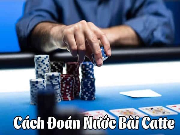 Các chuyên gia cao cấp sẽ hướng dẫn bạn cách dự đoán chính xác 6 lá bài Catte