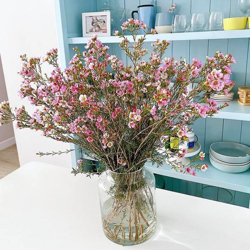 Cách cắm hoa liễu Cách cắm hoa thanh liễu khá đơn giản