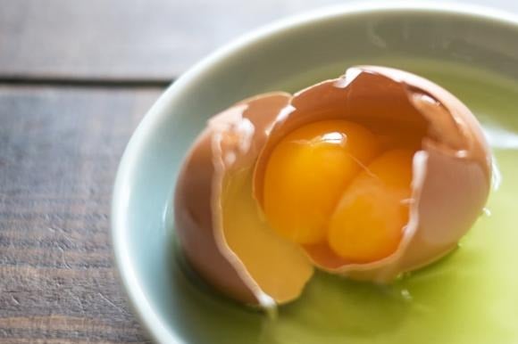 Gà đẻ trứng hai lòng đỏ là điềm gì? Có phải do hormone? Liệu có nở ra 2 gà con?