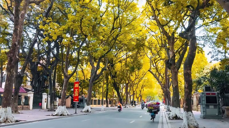 Miền Bắc có mấy mùa? Đặc điểm các mùa ở miền Bắc