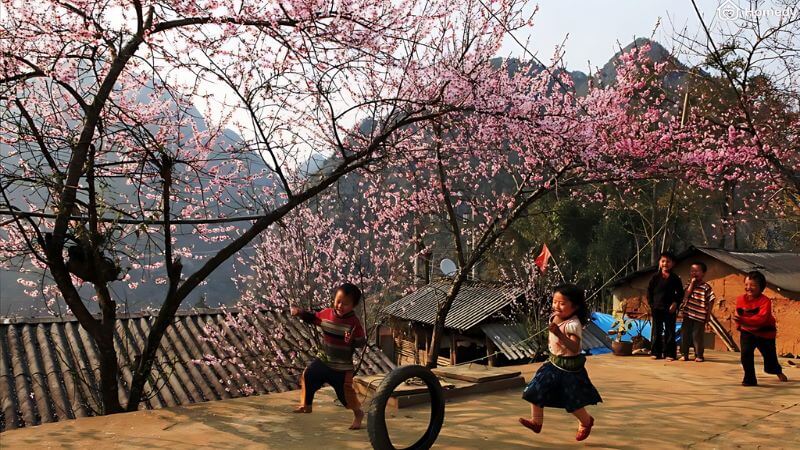 Miền Bắc có mấy mùa? Đặc điểm các mùa ở miền Bắc