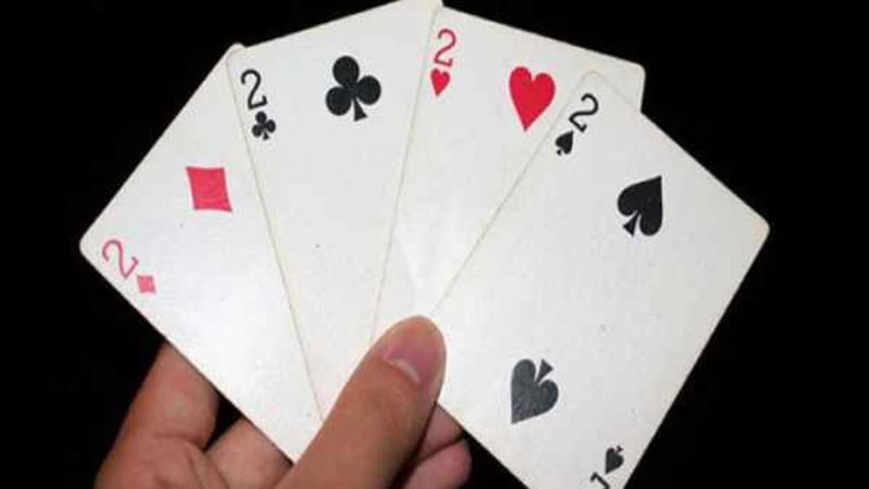 Tứ Quý Heo Có Ăn Trắng Không? Vai Trò Của Tứ Quý Heo Là Gì?