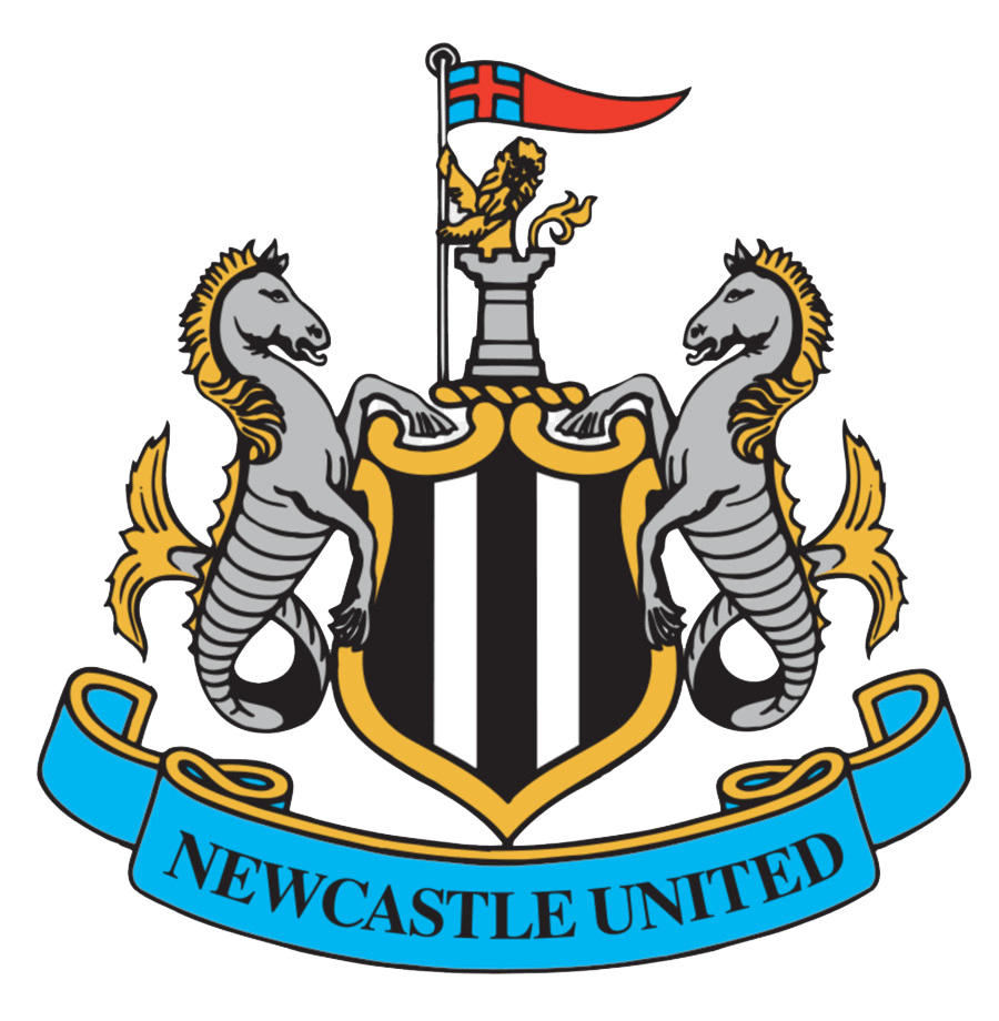 Logo Newcastle