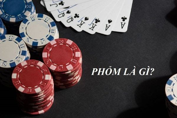 Hướng dẫn cách đánh phỏm miền Nam chi tiết cho người mới bắt đầu