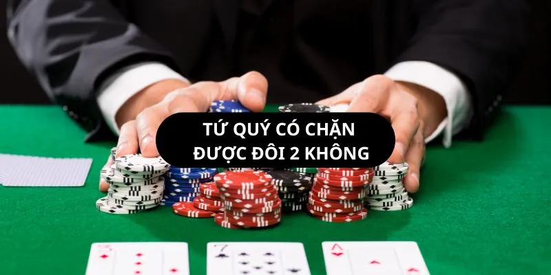 Tứ Quý Có Chặt Được Đôi Heo Không? Những Điều Bạn Nên Biết